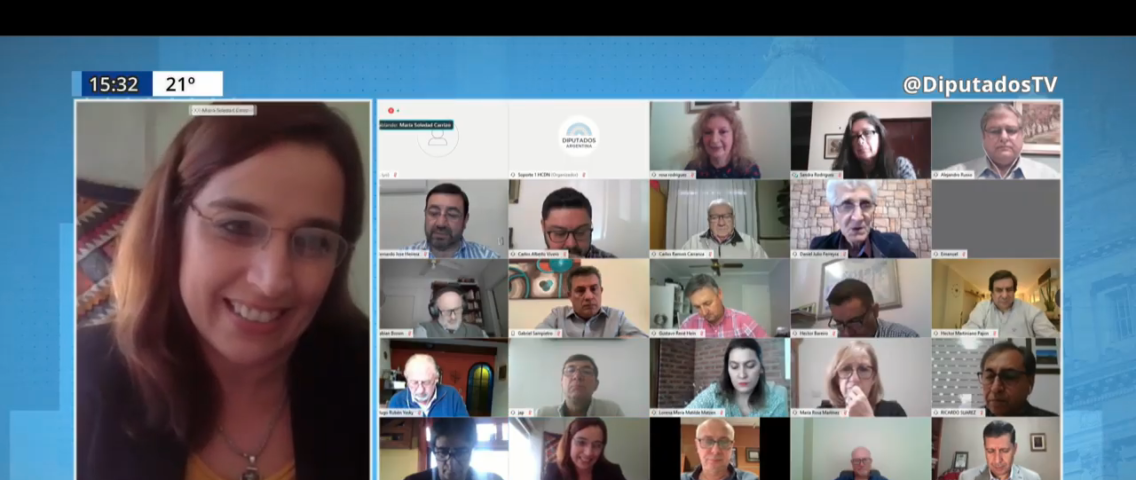 El mutualismo expuso su trabajo ante la Comisión Especializada en el sector  de la Cámara de Diputados