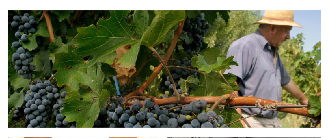 Fondos de Integración Productiva: Un logro alcanzado