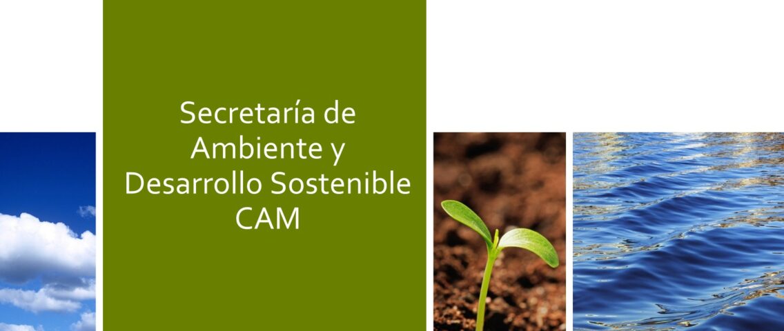 5 de junio: día del Medio Ambiente declarado por la ONU y la creación de la Secretaría de Ambiente y Desarrollo Sostenible de CAM